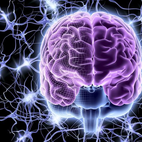 43 Facts About Your Brain That Will Blow Your Mind Ray Kurzweil, Sensory System, The Human Brain, Nerve Cell, Brain Power, Human Brain, Brain Training, Edamame, Alzheimers