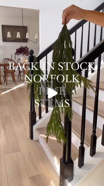 Alli Havrilla on Instagram: "🔗🔗Comment “SHOP” for a link to these Norfolk Pine stems and garland! 

It Christmas in July! Don’t wait to buy these viral norfolk pine stems that sell out every year!! 🌲

Modern | organic | affordable bathroom | budget friendly | gallery wall| neutral home | modern home | transitional home design | home staple 

#affordablehomedecor #budgetfriendly #boujieonabudget #modernorganic #cottagestyle #amazonhome #christmasinjuly" Organic Christmas Decor, Gallery Wall Neutral, Transitional Home Design, Bathroom Budget, Decor Stairs, Norfolk Pine, Transitional Home, Pine Garland, Neutral Home