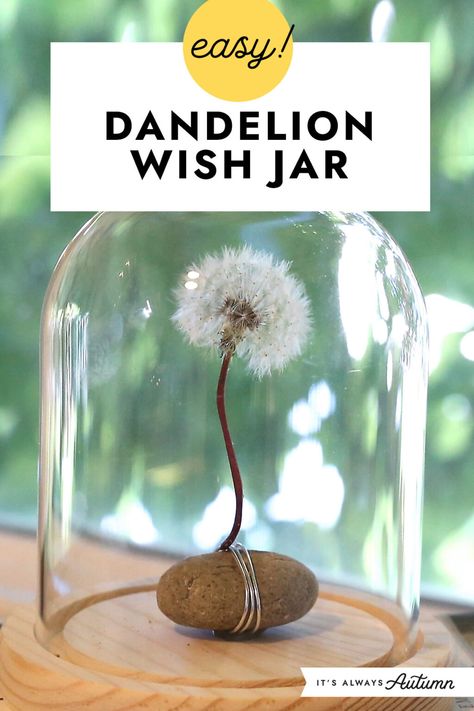 Easy! Dandelion wish jar. Dandelion Quotes, Wish Jar, Dandelion Puffs, Crafts With Glass Jars, Dandelion Art, White Dandelion, Dandelion Clock, A Dandelion, Summer Craft