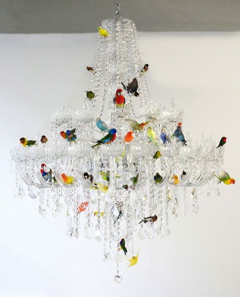 Sebastian Errazuriz, Bird Chandelier, Lustre Design, Diy Chandelier, Beautiful Chandelier, Garden Art Sculptures, The Ceiling, Colorful Birds, Taxidermy