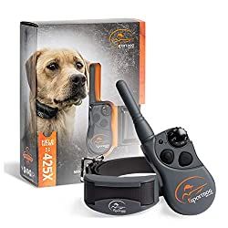 Best Dog Training Collars: Educator vs Dogtra vs SportDog vs PetSafe vs Pet Resolve – CanineJournal.com Dog Training Tools, Dog Shock Collar, Shock Collar, 2 Dogs, Leash Training, Dog Branding, Best Dog Training, Training Collar, Dog Training Collar