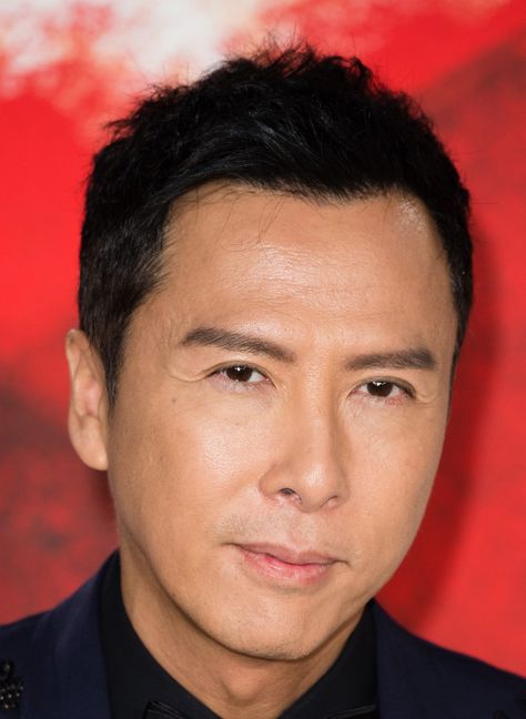 Donnie Yen Ip Man, Donnie Yen Movie, Donnie Yen, Jeet Kune Do, Ip Man, Now And Then Movie, Martial Artist, Brazilian Jiu Jitsu, Film Producer