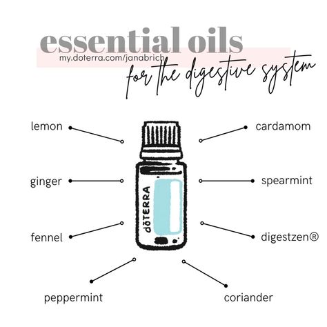 🍋🌿 Transform your digestive health naturally with the power of doTERRA essential oils! From zesty Lemon to soothing Ginger, and the comforting warmth of Peppermint, these oils are designed to support your digestive system every step of the way. Explore the benefits of Fennel, Cardamom, Spearmint, DigestZen blend, and Coriander, carefully made and used to promote balance and well-being from within. Elevate your wellness journey and embrace the gentle yet effective support of nature's remedies.... Benefits Of Fennel, Wellness Journey, Doterra Essential Oils, Digestive System, Digestive Health, Fennel, Doterra, Well Being, Natural Remedies