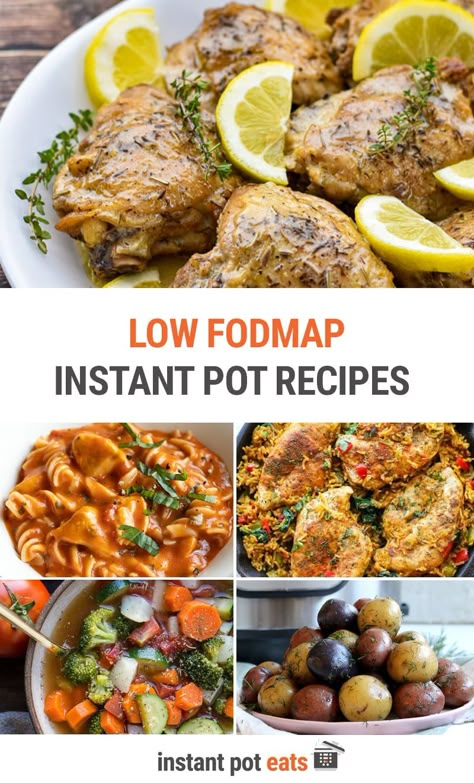 Low Fodmap Recipes Dinner, Fodmap Recipes Dinner, Fodmap Meal Plan, Low Fodmap Recipe, Fodmap Meals, Low Fodmap Diet Recipes, Fodmap Foods, Ibs Diet, Ibs Recipes