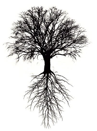 My favorite Forestry Tattoos, Tree Tattoo Designs Men, Celtic Tree Tattoos, Roots Drawing, Tree Roots Tattoo, Tree Tattoo Meaning, Rabe Tattoo, Roots Tattoo, Branch Drawing