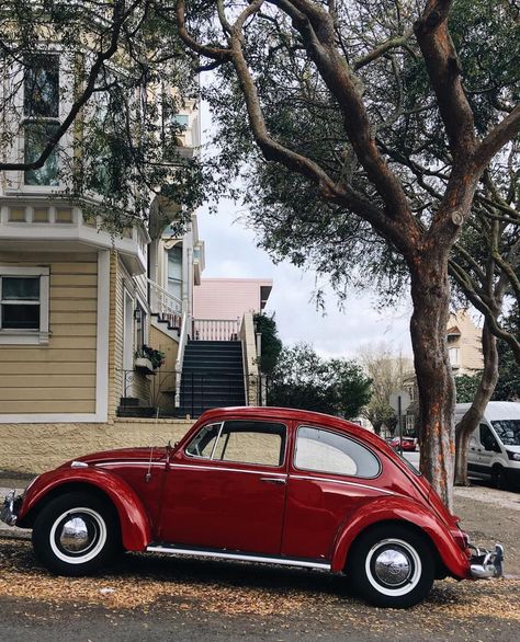 Burgundy Car, Volkswagen Vintage, Volkswagen Beetle Vintage, Beetle Car, Vw Vintage, Vw T1, Pretty Cars, Vw Bug, Classic Cars Vintage