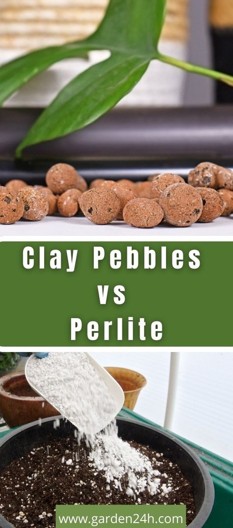 Clay Pebbles vs Perlite (Key Differences) Clay Pebbles For Plants, Be Vulnerable, Hydroponics System, Healthy Environment, Propagating Plants, Garden Boxes, Plant Roots, Healthy Plants, Outdoor Plants