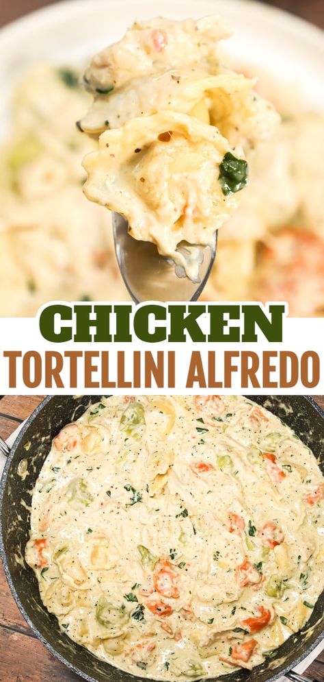 Chicken Tortilla Alfredo, Chicken Alfredo With Tortellini, Rotisserie Chicken And Tortellini, Chicken Filled Tortellini Recipes, Store Bought Tortellini Recipes, Cheese Tortellini With Chicken, White Sauce Tortellini Recipes, Chicken Alfredo Tortellini Bake, Easy Chicken Tortellini Recipes