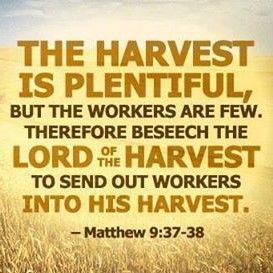 Open your eyes and look at the fields! They are ripe for harvest and the harvest is plentiful but the workers are few. Ask the Lord of the harvest, therefore, to send out workers into his harvest field. Matthew 9:35-38 and John 4:30-42 Harvest Prayer, Jesus Quotes Bible, Thanksgiving Bible Verses, Table For One, Spirit Of Truth, Biblical Inspiration, Encouraging Scripture, How He Loves Us, Printable Bible Verses