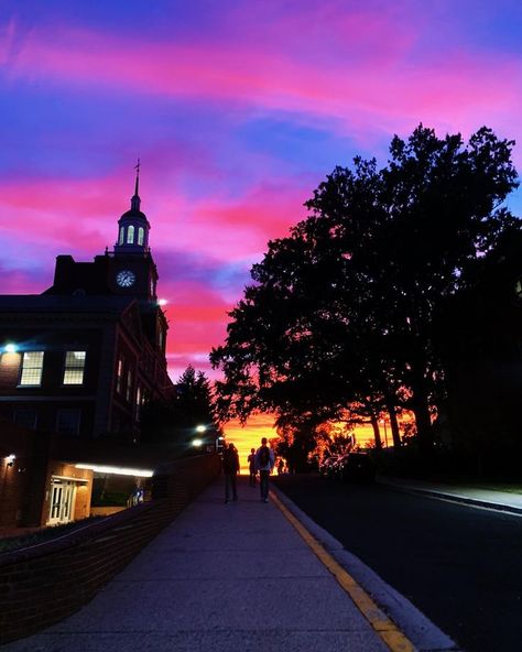 Howard Aesthetic, College Goals, College Living, Healthy Happy Life, Howard University, Dream College, Vacation Mood, Dream School, University Life