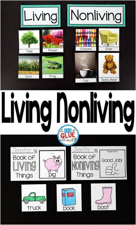 Engage your students in exciting science lessons about living and nonliving things. This science lesson is perfect for science centers in Kindergarten, First Grade, and Second Grade classrooms and packed full of fun science activities. This document allows your class to have a hands-on experience learning about living and nonliving things. Kindergarten Science Lessons, Living And Nonliving Things, Pre-k Science, Living And Nonliving, Science Centers, 1st Grade Science, First Grade Science, Science Lesson, Science Lesson Plans