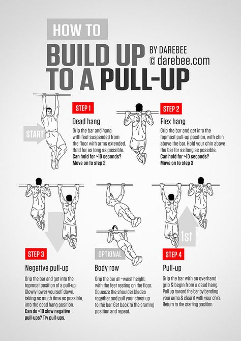 Finally learn the steps you need to take to actually do a pull-up. | 16 Super-Helpful Charts That Teach You How To Actually Work Out Calisthenics Workouts, Super Shredder, Military Fitness, Reformer Pilates, Calisthenics Workout, Pilates Studio, Trening Abs, Body Fitness, Pilates Reformer