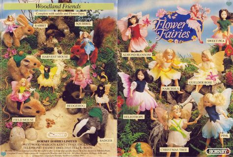 Flower Fairies [Hornby] Flower Fairy Dolls, 80’s Toys, 80s Pop Culture, 1980s Childhood, 1980s Toys, 80s Pop, Living Dead Dolls, Childhood Memories 70s, Cicely Mary Barker