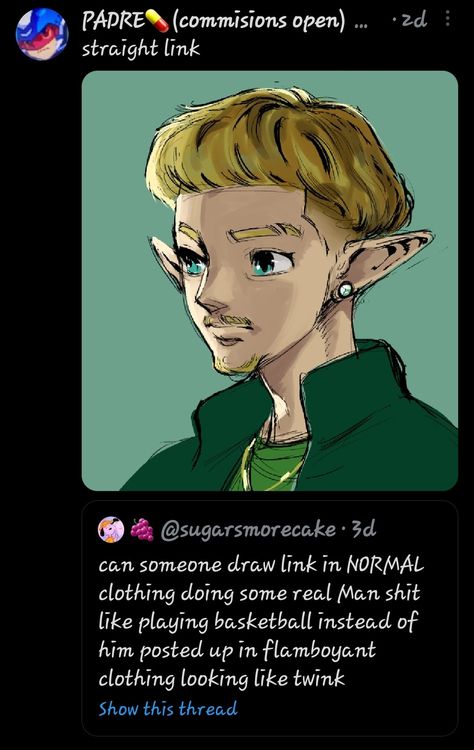 Link Trans, Zelda Hair, Link Totk, Botw Funny Comic, Trans Link Botw, Zelda Drawing, Link Botw, Bad Image, Loz Twilight Princess Memes