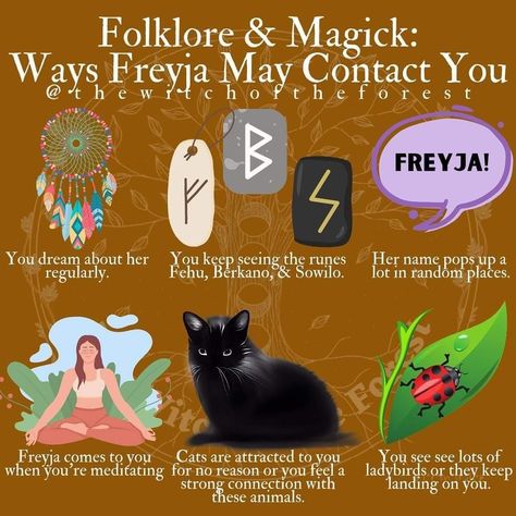 Volva Norse Witch, Goddess Freya, Spiritual Witch, Norse Paganism, Freya Goddess, Goddess Magick, Celtic Pagan, Greece Mythology, Norse Gods