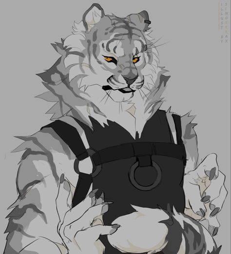 White Tiger, Fun Games, Group Chat, Tigers, Sketch, Art