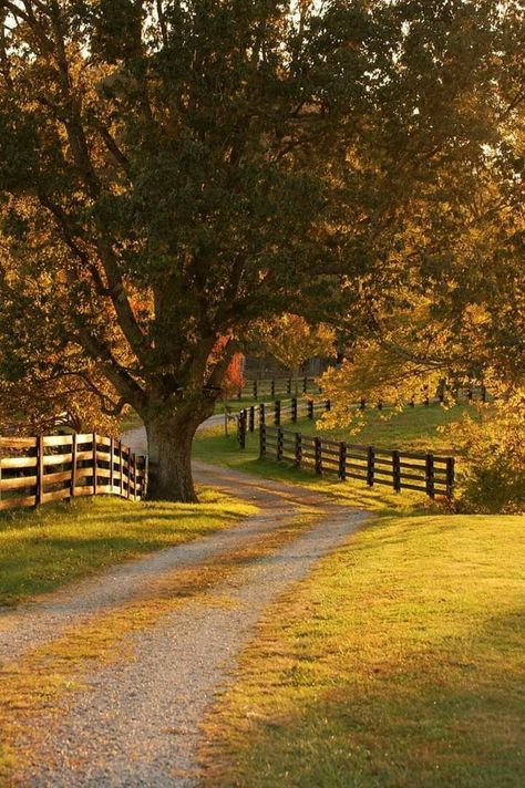 Country Scenes Farms Landscapes, Unique Landscaping, Country Photography, Country Lane, Dream Life House, Country Landscape, Country Lifestyle, Countryside House, Country Side