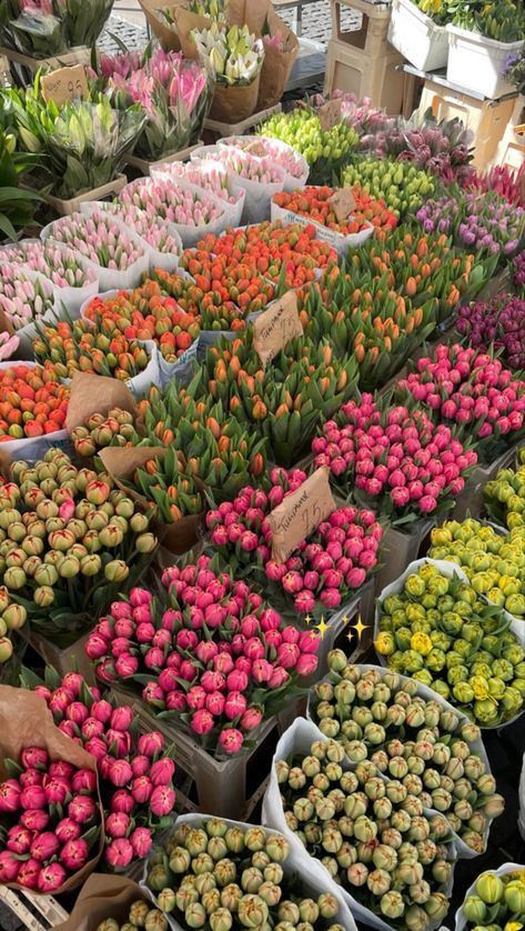 Boquette Flowers, Nothing But Flowers, Flower Therapy, Beautiful Bouquet Of Flowers, Spring Aesthetic, Pretty Plants, Tulips Flowers, Arte Floral, Winter Aesthetic