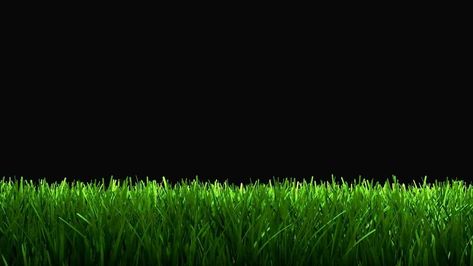 Green grass animation for lower 3rd, matte included. Grass Animation, Overlays Transparent, Tree Saw, Cityscape Photos, Grass Green, Nature Backgrounds, Marketing Design, Green Screen, Custom Illustration