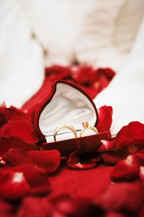 Online Marriage, Church Wedding Decorations, Red Rose Petals, Buying An Engagement Ring, Creative Valentines, Fun Wedding Photography, Beautiful Engagement Rings, Photo Heart, Photography Services