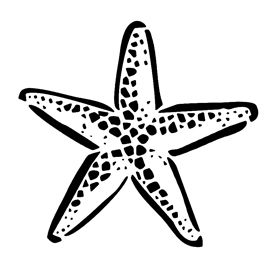 Starfish Stencil Starfish Tattoo, Free Stencils Printables, Theme Tattoo, Stella Marina, Stencils Printables, Free Stencils, Stencil Patterns, Beach Crafts, Tropical Islands