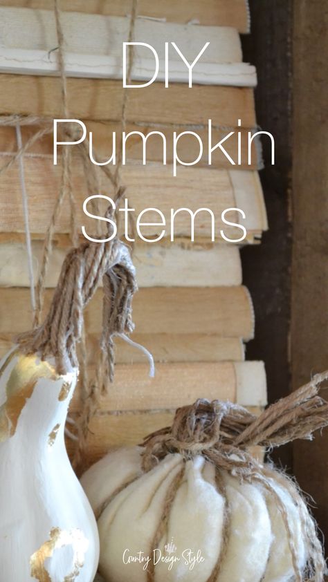 Small pumpkin and gourd with twine stems Diy Realistic Pumpkin Stems, How To Make A Pumpkin Stem, Pumpkin Stems Diy, Painting Gourds, Crafts 2024, Pumpkin Stems, Diy Pumpkins, Natural Crafts, Tips For Painting