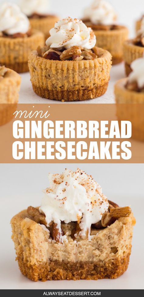 Mini gingerbread cheesecakes pair ultra-creamy spiced cheesecake with a pecan and graham cracker crust for a festive and indulgent holiday treat that's picture perfect when topped with chopped pecans, whipped cream, and a dusting of nutmeg. Serve these perfectly-portioned mini desserts at Christmas to secure your spot at the top of the nice list! #gingerbread #cheesecake #holidayrecipes #minidesserts Holiday Mini Cheesecake Recipes, Gingerbread Cheesecake Cups, Easy Gingerbread Cheesecake, Christmas Cheesecake Mini, Mini Holiday Cheesecakes, Gingerbread Mini Cheesecakes, Mini Cheesecake Christmas, Christmas Cheesecake Cupcakes, Christmas Desserts Gingerbread