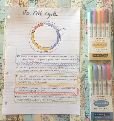 Al level biology revision- the cell cycle #revision #school #study #biology #alevel The Cell Cycle Notes, Cell Cycle Notes, Alevel Biology, Foldable Ideas, Cell Biology Notes, Revision Help, School Revision, School Tricks, The Cell Cycle