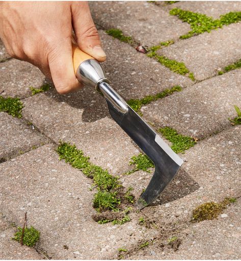 Composed of some of our favorite tools, this set lets you get rid of weeds wherever they are found. Each of the unconventional-looking tools is specialized for a particular kind of weeding: digging out deep taproots, sweeping shallow-rooted weeds out from soil, weeding between plants in crowded garden beds, and getting between patio stones to slice weeds out of the cracks. Save 15% on this selection of highly recommended tools compared to buying the items individually.Lee Valley Dandelion Digger Japanese Garden Tools, Best Garden Tools, Garden Tool Organization, Thriving Garden, Lee Valley, Lawn And Landscape, Vintage Garden Decor, Craftsman Style House Plans, Garden Tool