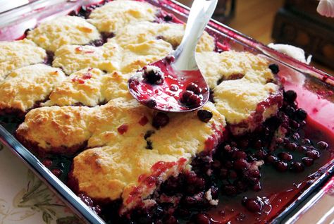 Linda and James Tapp live south of Biggar, Sask., and have farmed together their whole married life. Linda, an ardent cook and baker, shared the recipe for this juicy cobbler made with a mixture of cooked and raw local Saskatoon berries. “You get more juice and flavour that way,” she says. Blueberry Nectarine Cobbler, Blueberry Cornbread, Berry Cobbler Recipes, Blueberry Cobbler Recipes, Highbush Blueberry, Saskatoon Berry, Berry Cobbler, Blueberry Cobbler, Cook Recipes