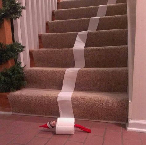 elf on the shelf  toilet paper roll down the stairs, not original but still very entertaining to the kiddos! Elf On Shelf Toilet Paper, Elf On The Shelf Toilet, Elf Toilet, Shelf Toilet, Elf On Shelf, Toilet Paper Roll, Toilet Roll, Paper Roll, On The Shelf