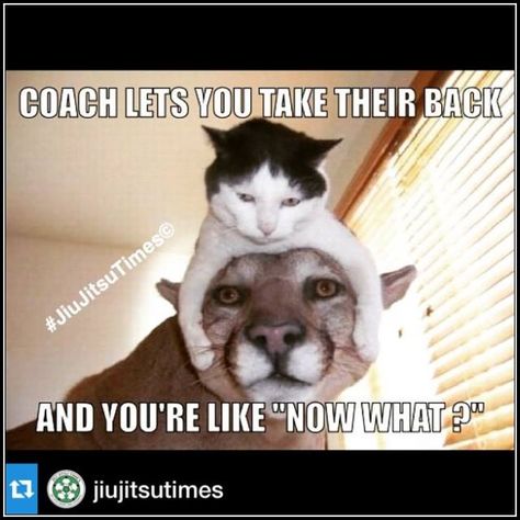 Karate Motivation, Karate Training Exercises, Jj Quotes, Jiu Jitsu Humor, Bjj Humor, Bjj Quotes, Jiu Jitsu Women, Martial Arts Humor, Bjj Memes