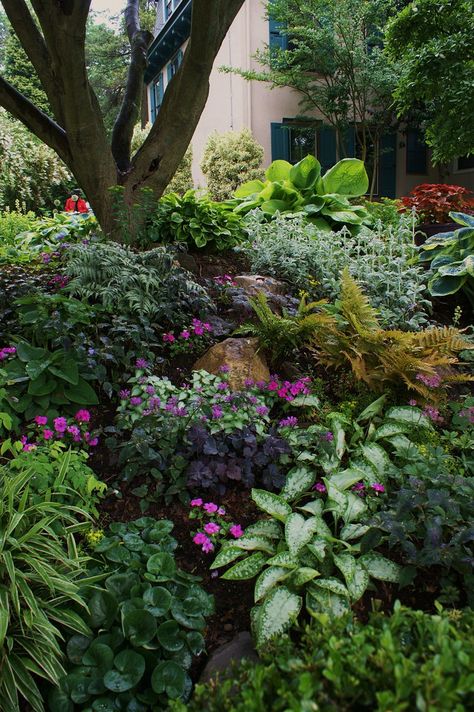 Sumptuous shady corner (2) | Karl Gercens | Flickr Shade Landscaping, Shade Garden Design, Shade Garden Plants, Hosta Gardens, Sloped Garden, Shade Perennials, Magic Garden, Woodland Garden, Plants And Flowers