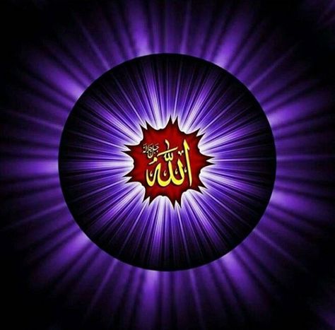 Allah Name Dp, Allah Gif, Carpet Background, Red Carpet Background, Muhammad Wallpaper, M Letter Images, Allah Name, Letter Images, Islamic Wallpaper Hd