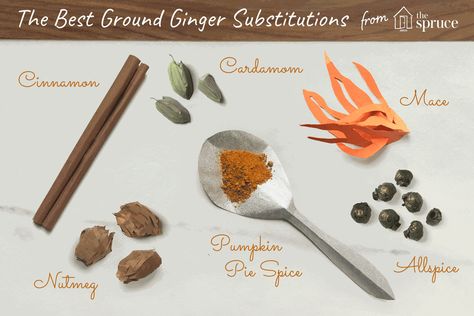 Substitute For Ginger, Allspice Substitute, Cumin Substitute, Ginger Substitute, How To Store Ginger, Ginger Root Tea, Clam Recipes, Ginger Recipes, Reduce Food Waste