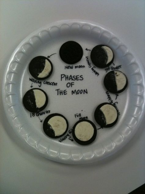 phases of the moon Oreo Phases Of The Moon, 6th Grade Science, Summer Learning, Phases Of The Moon, E Mc2, Homeschool Science, Future Classroom, Science Classroom, Space Theme