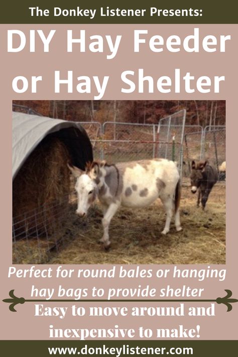 DIY Hay feeder Hay Shelter Round bale feeder to reduce waste Diy Round Bale Feeder Horses, Hay Shelter, Round Bale Hay Feeder, Diy Hay Feeder, Round Bale Feeder, Donkey Care, Animal Rescue Ideas, Ranch Animals, Homesteading Life