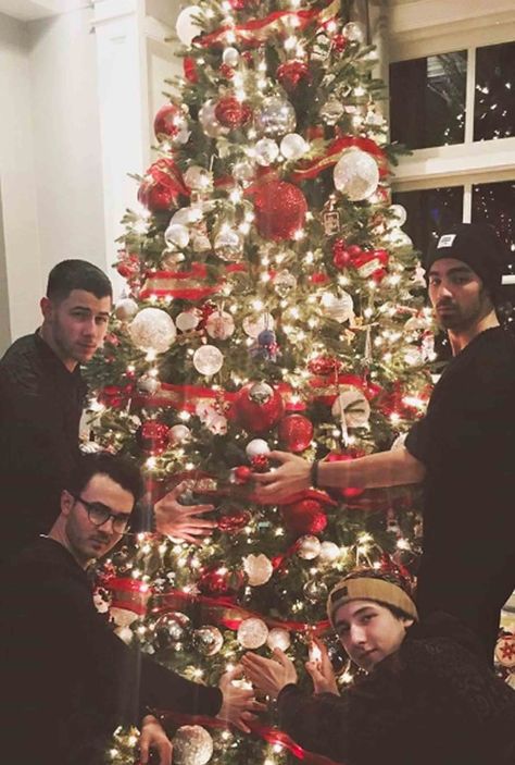 Frankie Jonas, Danielle Jonas, Celebrity Siblings, Jonas Brother, Brother Christmas, Celebrity Families, Joe Jonas, Sophie Turner, Nick Jonas