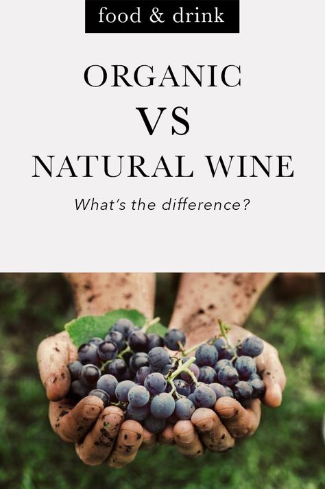 Organic vs natural wine: What's the difference? Chia Seeds Benefits, Wine Expert, Organic Wine, Natural Yogurt, Diffuser Recipes, Natural Cough Remedies, Natural Wine, Eating Organic, Homemade Remedies