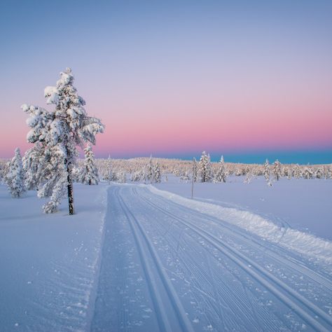 Finland Trip, Norway Landscape, Norway Winter, Winter Landscape Photography, Nordic Aesthetic, Snow Covered Trees, Europe Winter, Winter Sunset, Winter Scenery