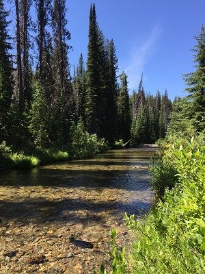 Idaho Panhandle, Idaho Forest, St Joe River Idaho, Idaho Panhandle National Forest, Sawtooth Wilderness Idaho, Ohv Trails, Idaho Vacation, Idaho Adventure, Eno River State Park