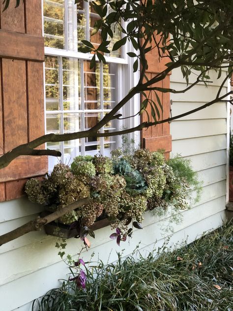 Fall Windowbox Ideas, Fall Window Boxes, Box Flowers, Window Box Flowers, Dried Hydrangeas, Asparagus Fern, Dusty Miller, Window Boxes, Fall Decorations