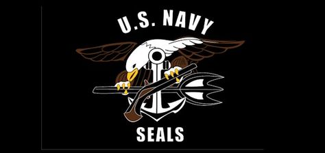 Navy Seal Logo, Us Navy Seals, Military Flag, Military Drawings, Bin Laden, Seal Logo, Navy Seal, Flag Decal, U S Navy