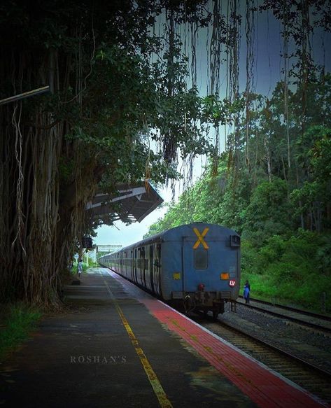 Muthalamada Railway Photography, Train Video, Whatsapp Profile Picture, Indian Railways, Whatsapp Profile, Train Photography, Steam Locomotive, Nature Wildlife, Railway Station