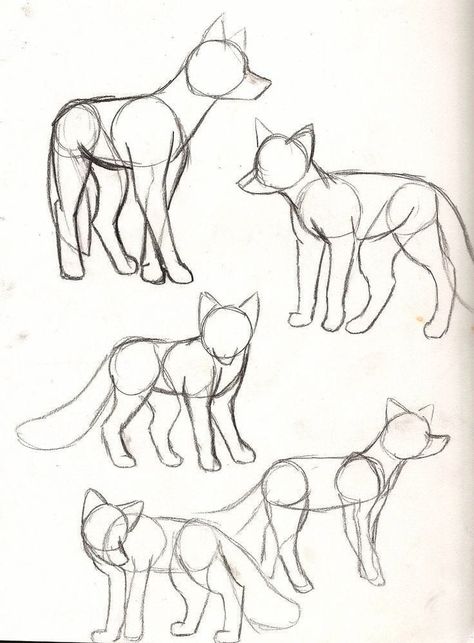 Fox Sketch, Lukisan Fesyen, Animal Sketch, Easy Animal Drawings, Drawing Hands, Animal Drawings Sketches, Drawing Eyes, Easy Animals, Výtvarné Reference