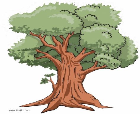 Big Tree Drawing, Oak Tree Drawings, Tree Drawing Simple, Tree Cartoon, Free Drawing, Family Tree Genealogy, Simple Tree, Old Oak Tree, Tree Clipart