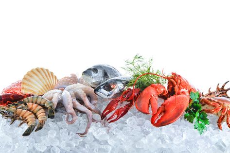 Fresh seafood on crushed ice. Fresh fish and seafood arrangement on crushed ice , #Sponsored, #crushed, #seafood, #Fresh, #arrangement, #fish #ad Luxury Seafood, Ice Background, Seafood Lobster, Private Beach House, Market Photo, Mackerel Fish, Raw Salmon, Seafood Stock, Roast Fish