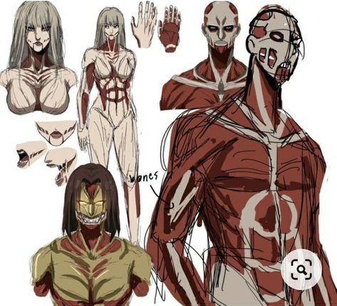 Aot Titan Shifter Oc, Aot Titans, Titan Shifter, Female Titan, Attack On Titan Series, Eren Aot, New Titan, Fan Drawing, Attack On Titan Aesthetic