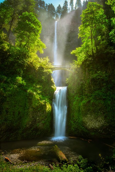 Multnomah Falls Wedding, Silver Falls Oregon, Portland Oregon Photography, Things To Do In Oregon, Multnomah Falls Oregon, Oregon Pictures, Silver Falls State Park, Oregon Photography, Oregon Waterfalls