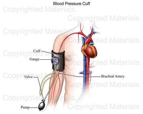 Blood Pressure Cuff Blood Pressure Range, Medical Projects, Blood Pressure Cuff, Low Blood Pressure, Medical Medium, Healthy Blood Pressure, Medical Illustration, Blood Pressure, Dry Brushing